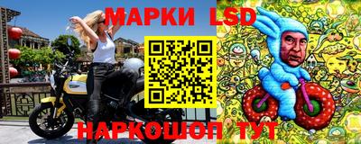 твердый Лесосибирск