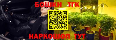 твердый Лесосибирск