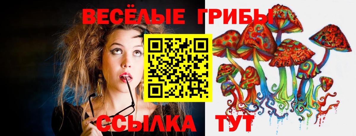Галлюциногенные грибы MAGIC MUSHROOMS  Вход с VPN  Шарыпово 